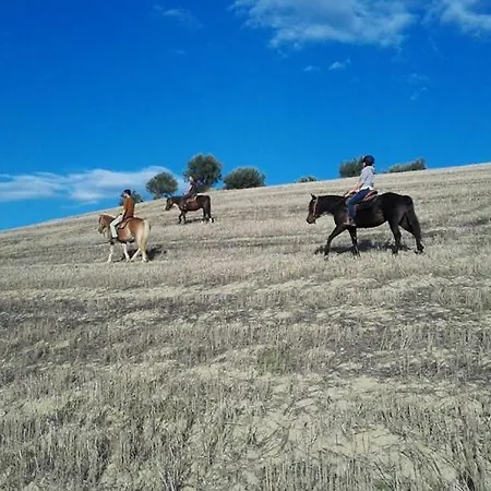 Casale Vittoria Holiday home