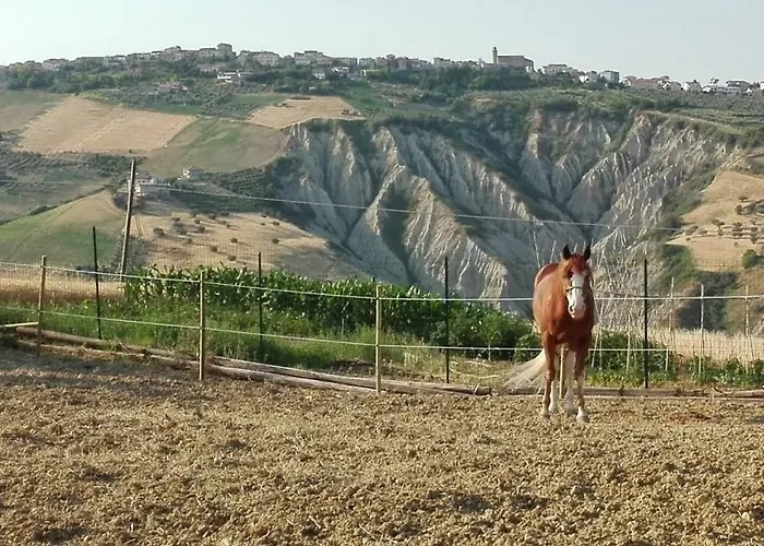 Tatil Evi Casale Vittoria *