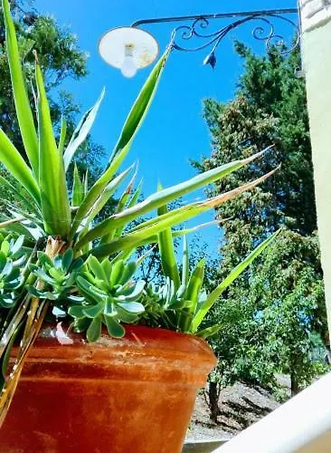 Casale Vittoria Tatil Evi